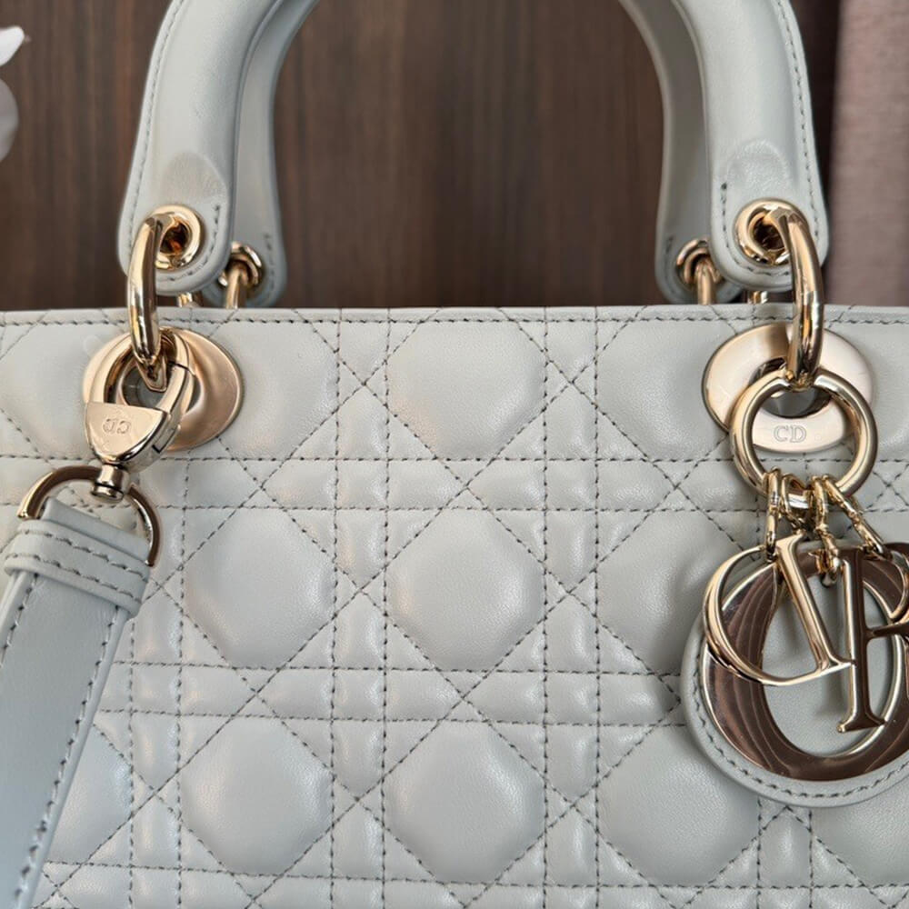 MEDIUM LADY D10r BAG