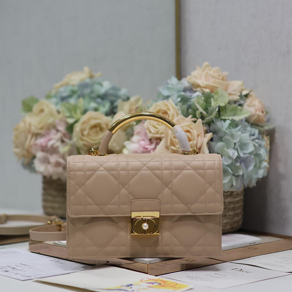 Medium D10r Ange Bag