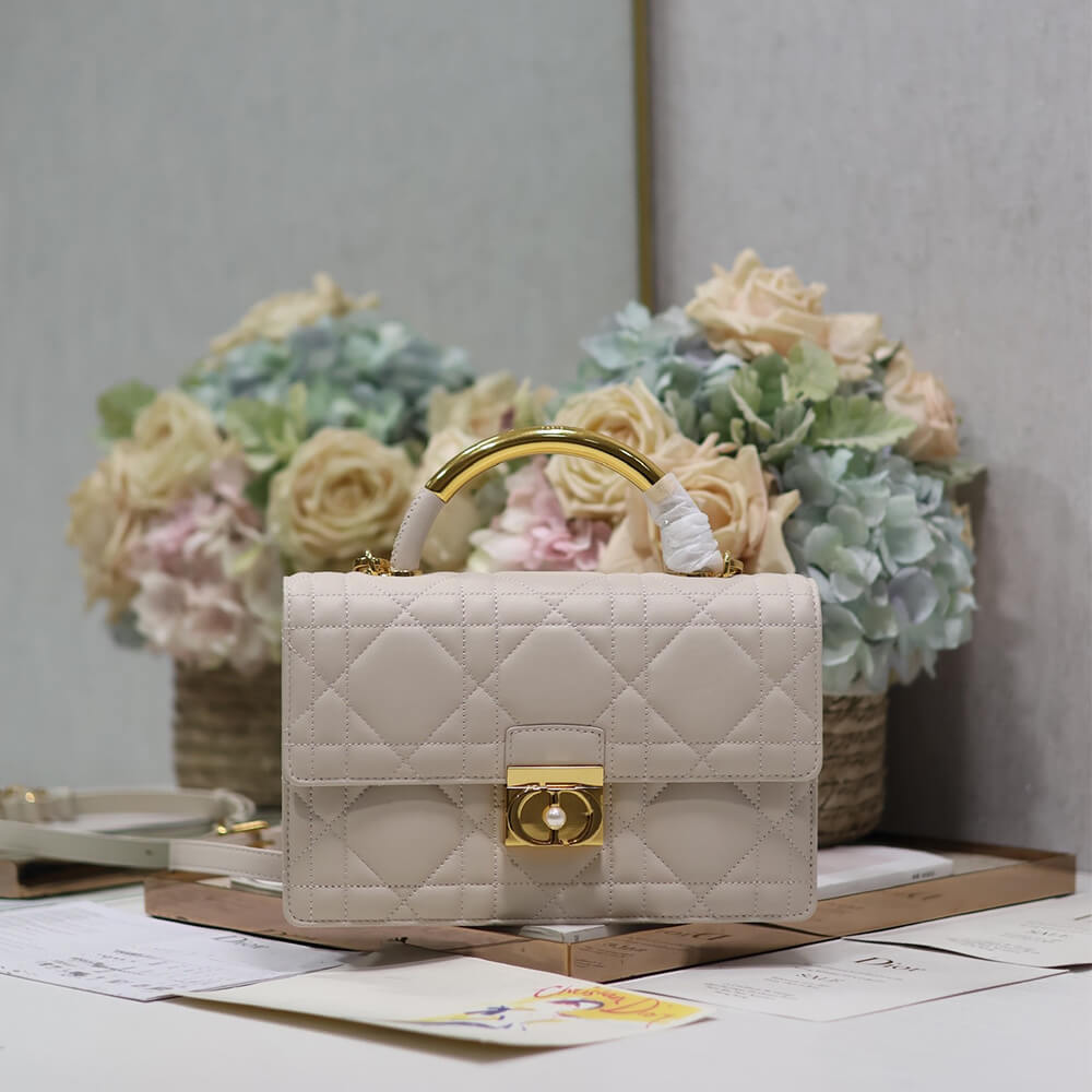 Medium D10r Ange Bag