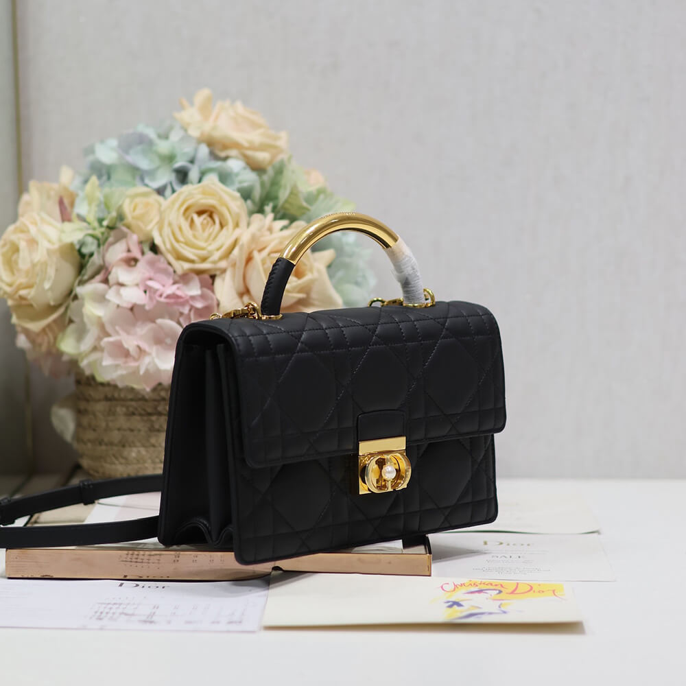 Medium D10r Ange Bag