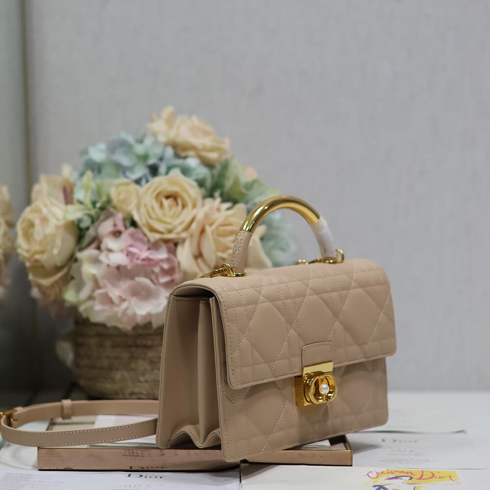 Medium D10r Ange Bag