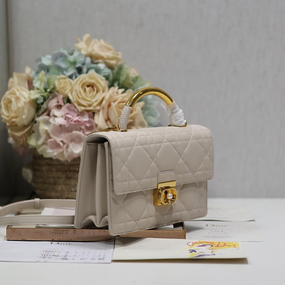 Medium D10r Ange Bag