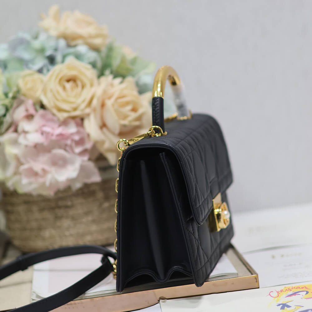 Medium D10r Ange Bag