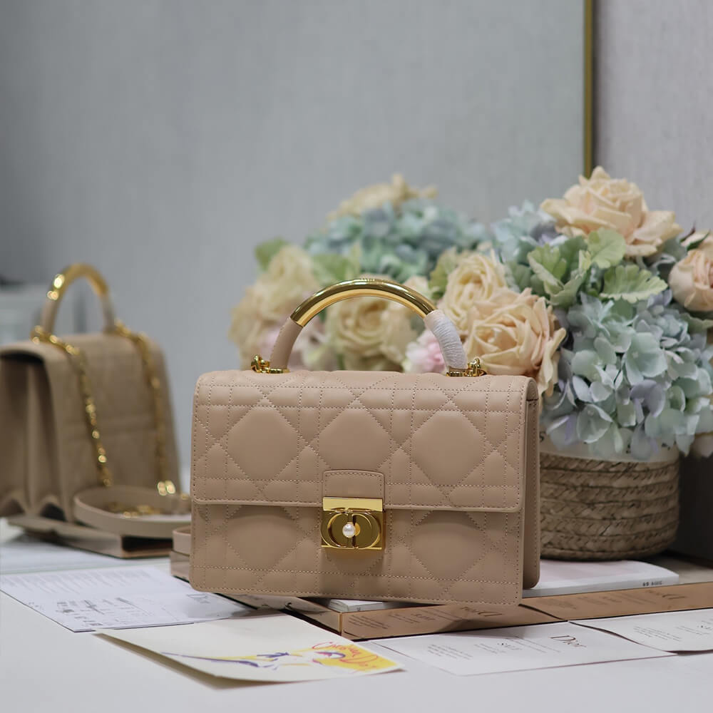Medium D10r Ange Bag