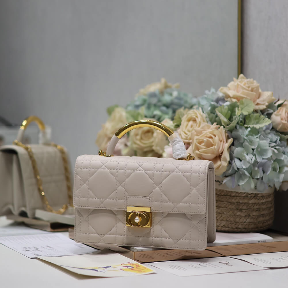 Medium D10r Ange Bag