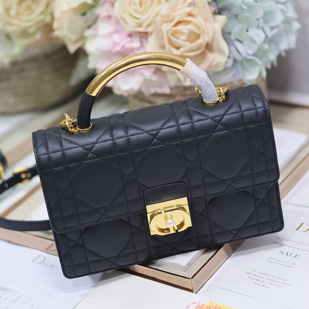 Medium D10r Ange Bag