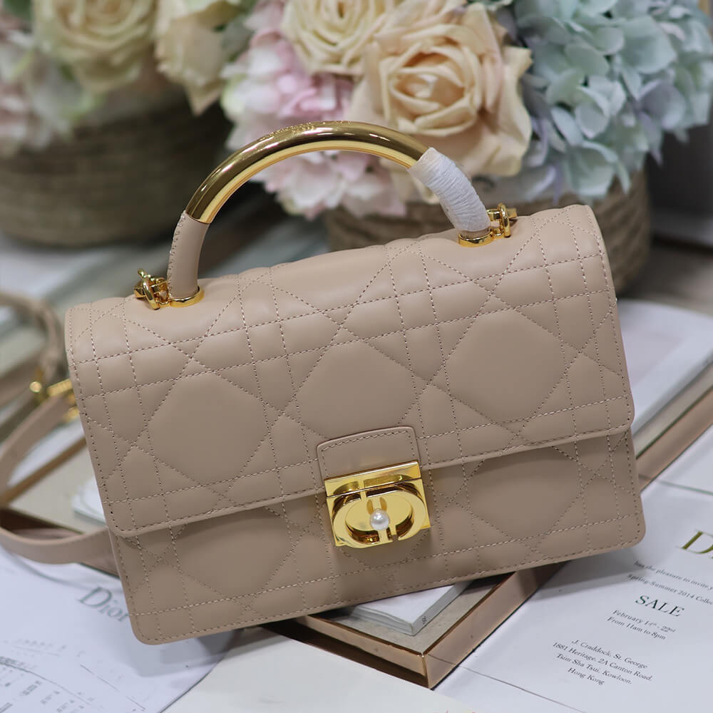 Medium D10r Ange Bag