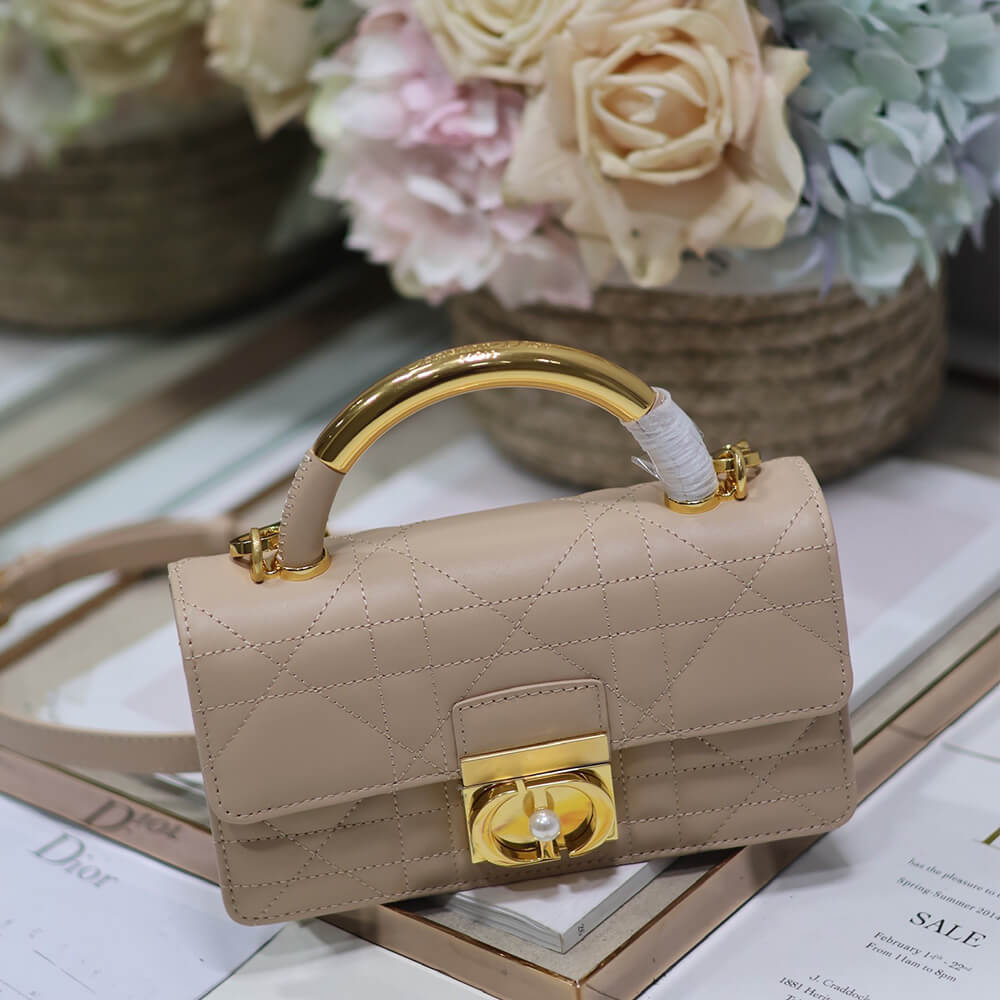 Mini D10r Ange Bag