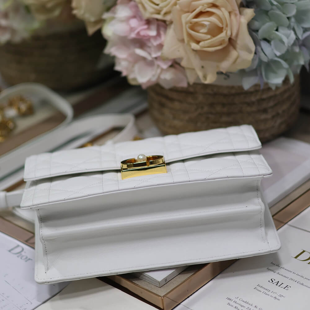 Medium D10r Ange Bag