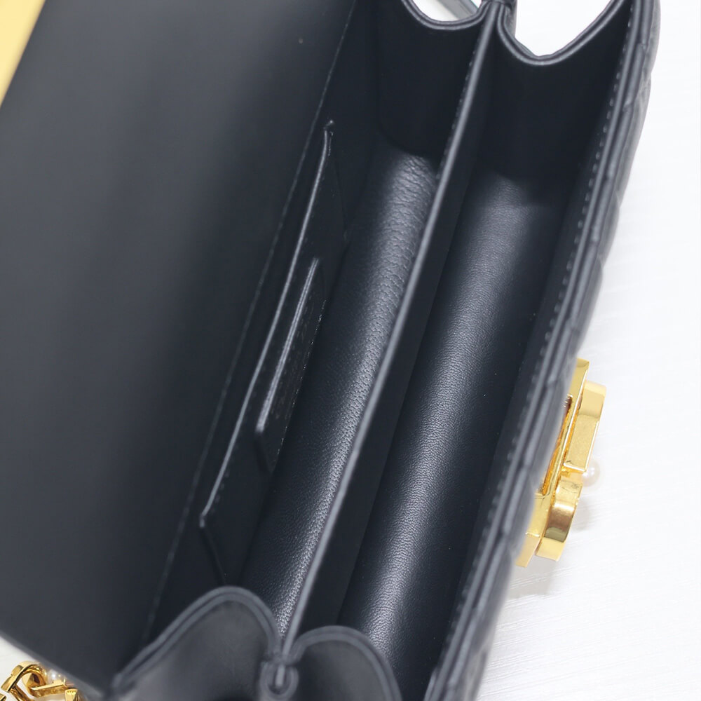 Mini D10r Ange Bag