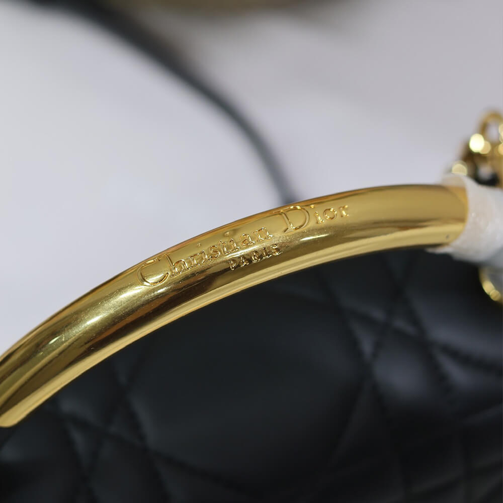 Medium D10r Ange Bag