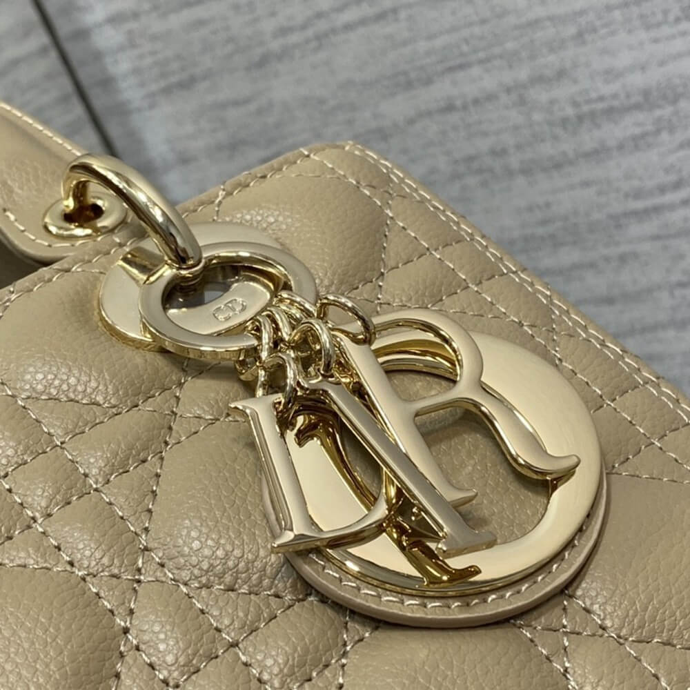 Medium Lady D10r Bag(High-end Grade)