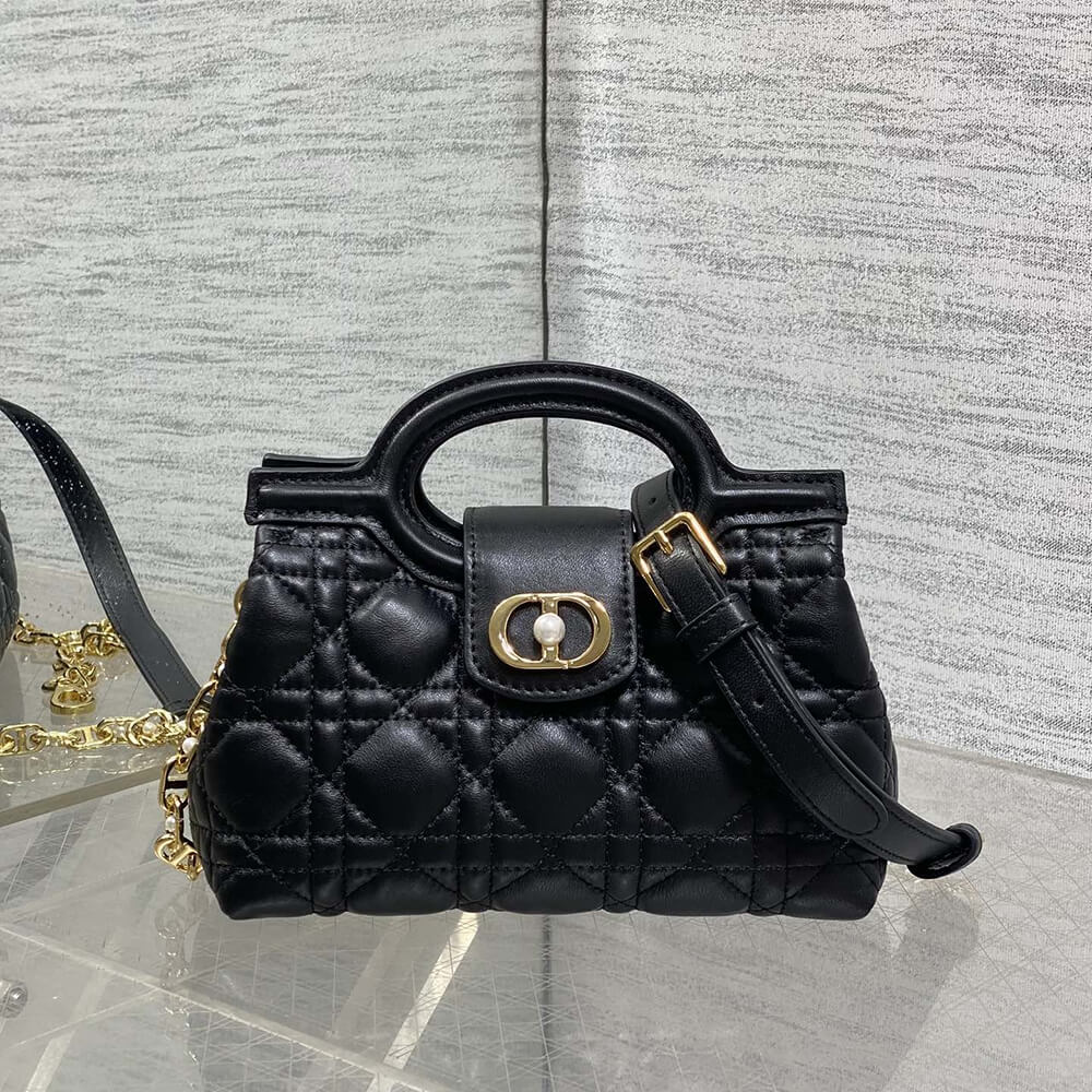 D10r Jolie Top Handle Mini Bag(HIGH-END GRADE)
