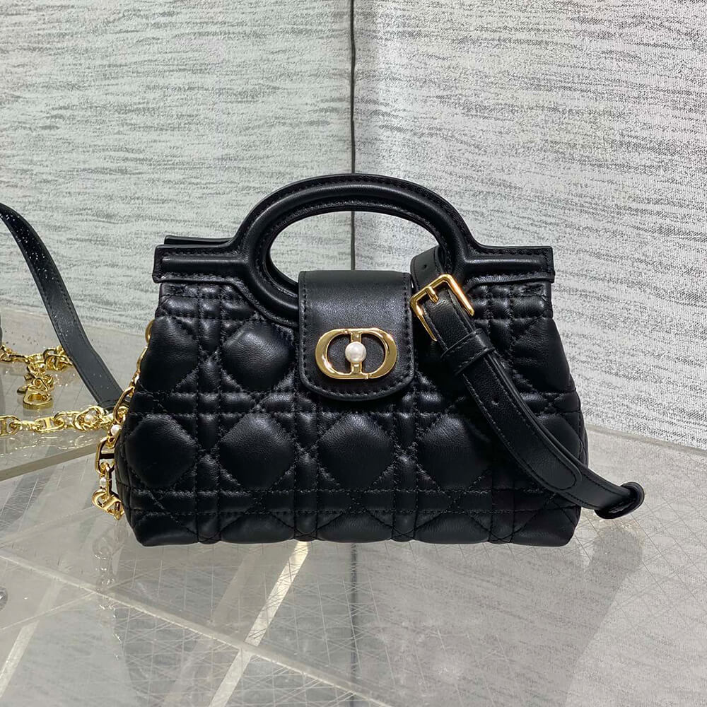 D10r Jolie Top Handle Mini Bag