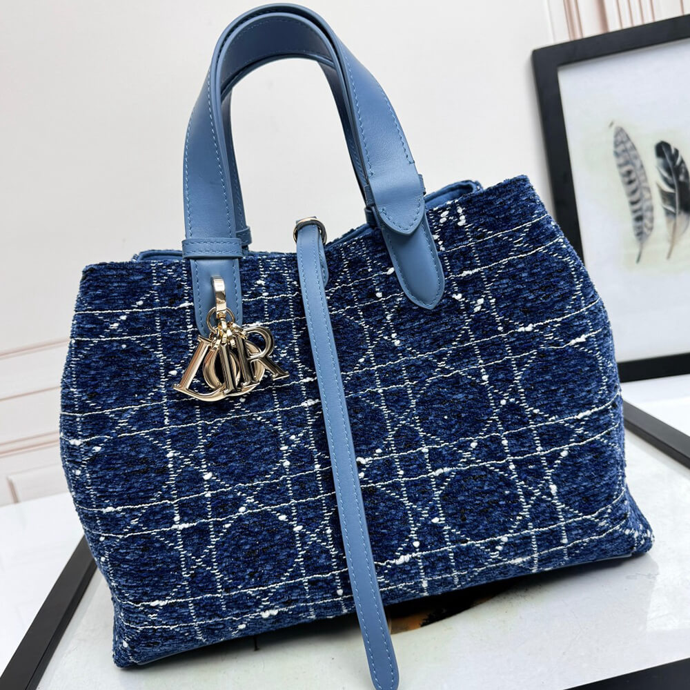 Medium D10r Toujours Bag