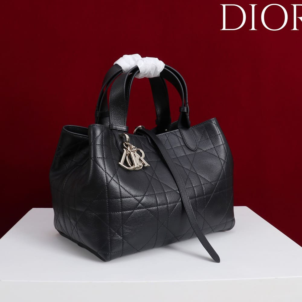Medium D10r Toujours Bag