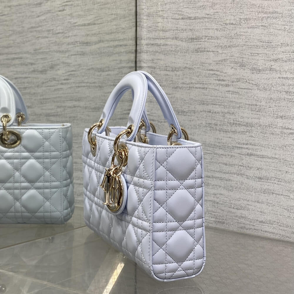 D10r Medium Lady D-Joy Bag(HIGH-END GRADE)