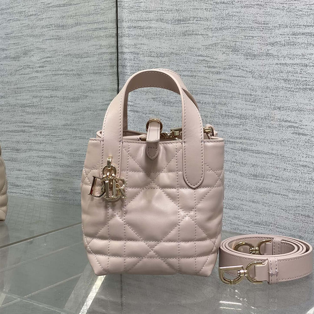 D10r Toujours Vertical Nano Tote Bag(high-end grade)