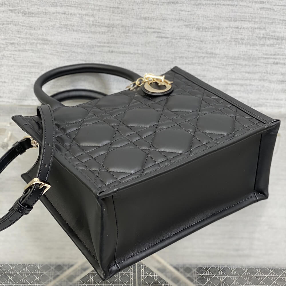 Small D10r Book Tote(HIGH-END GRADE)