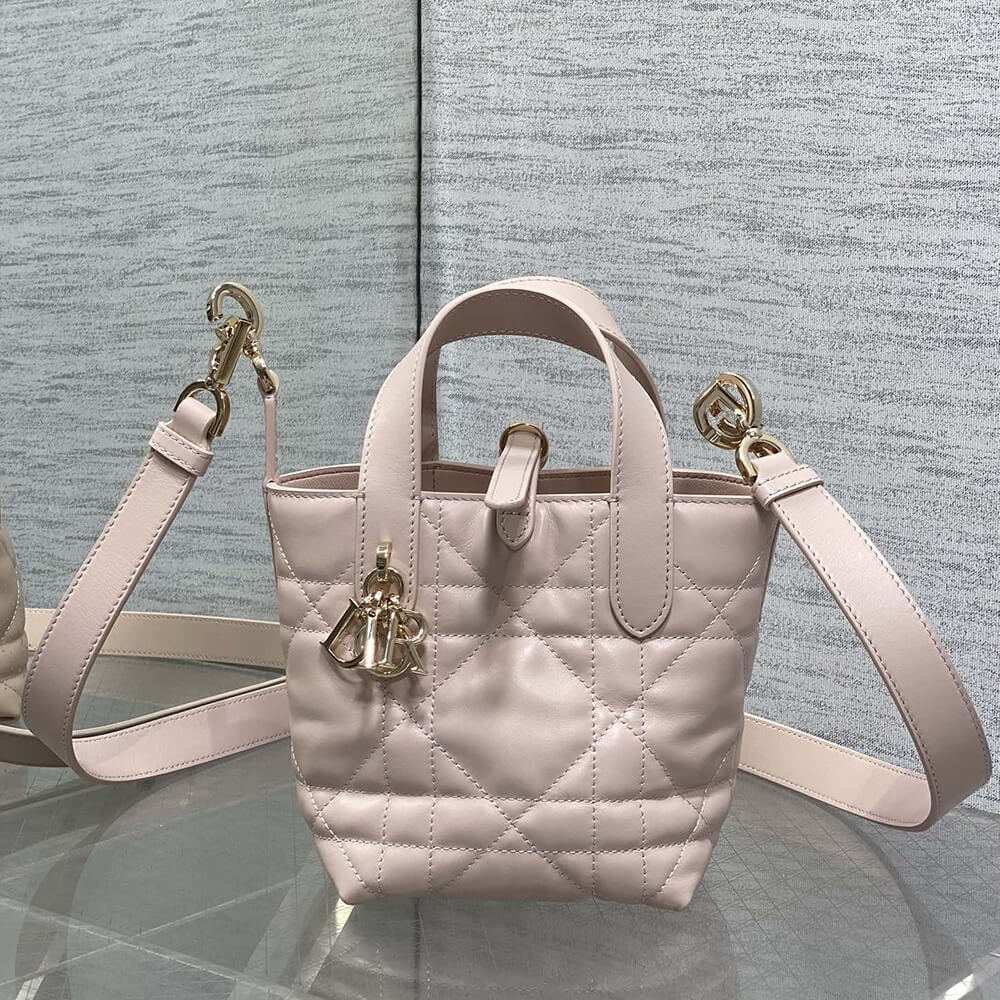 D10r Toujours Vertical Nano Tote Bag(high-end grade)