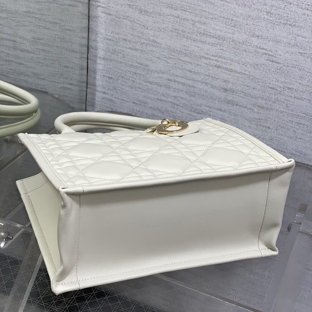 Small D10r Book Tote(HIGH-END GRADE)