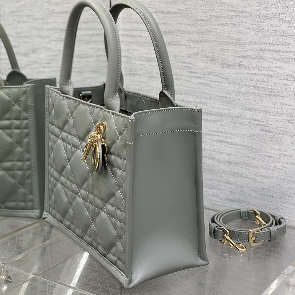 Small D10r Book Tote(HIGH-END GRADE)
