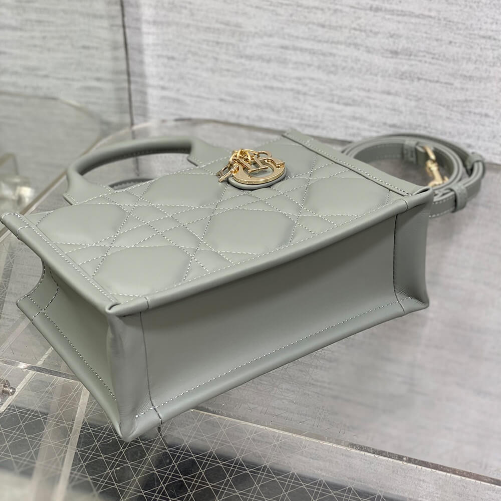 D10r Mini D10r Book Tote