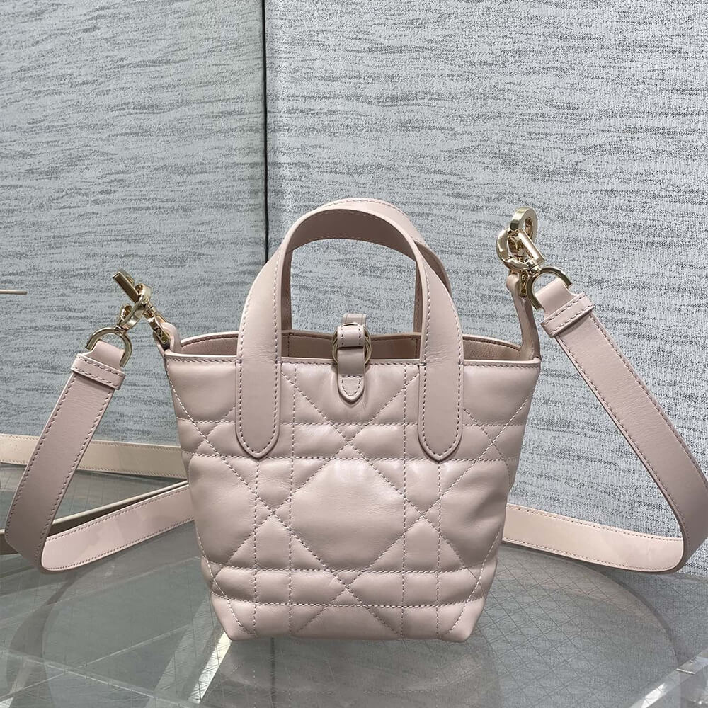 D10r Toujours Vertical Nano Tote Bag(high-end grade)