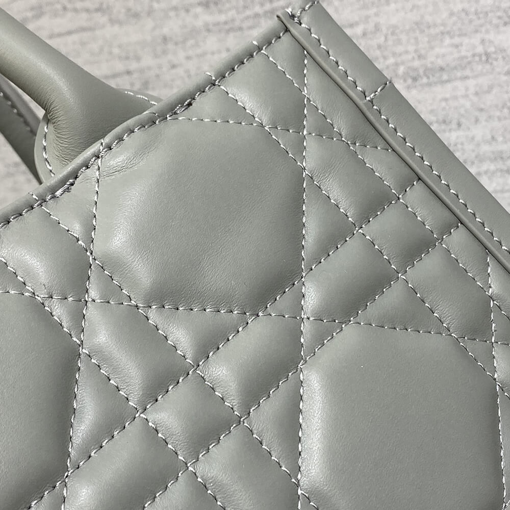 Small D10r Book Tote(HIGH-END GRADE)