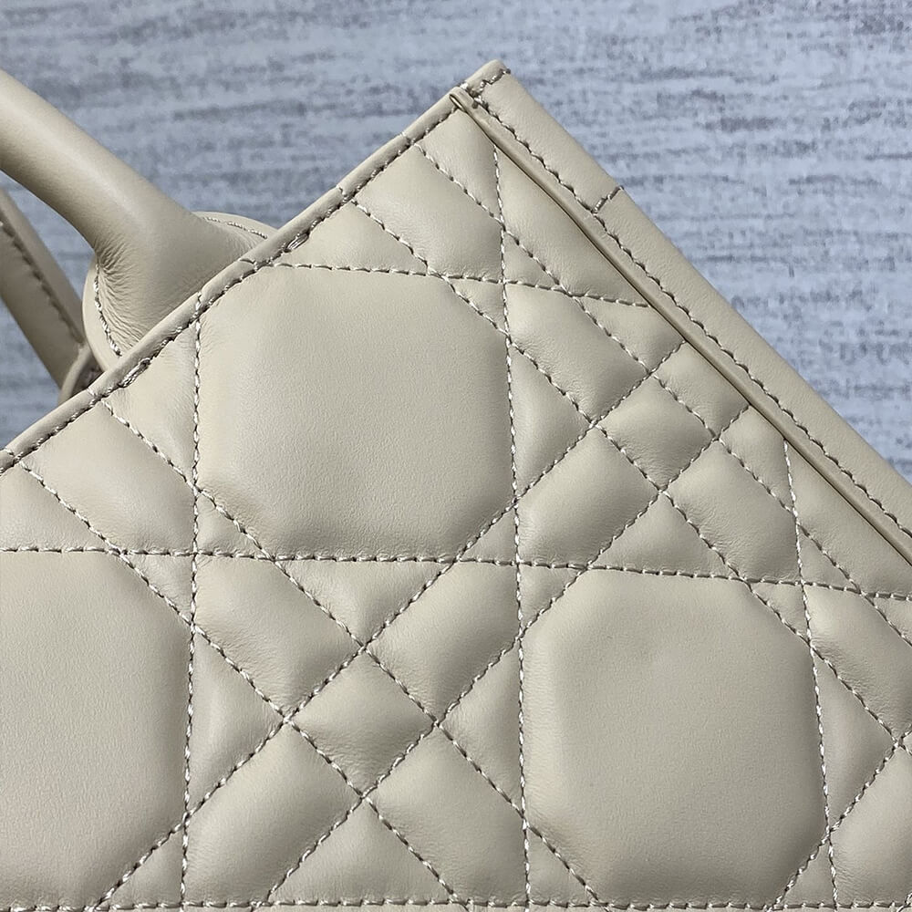 Small D10r Book Tote(HIGH-END GRADE)