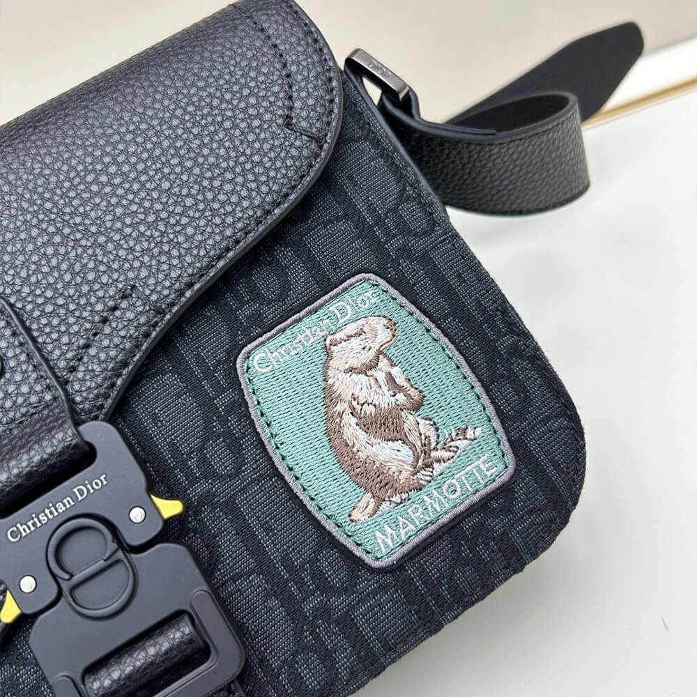 D10r Small Saddle Messenger Bag(High-end Grade)