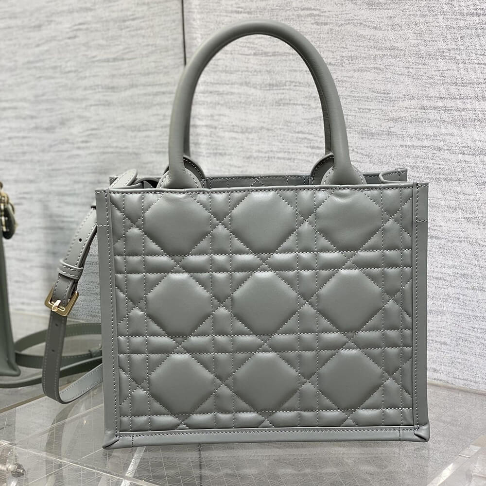 Small D10r Book Tote(HIGH-END GRADE)