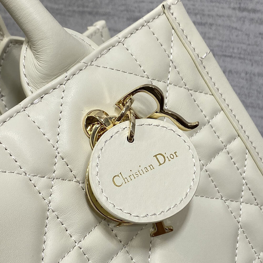 Small D10r Book Tote(HIGH-END GRADE)
