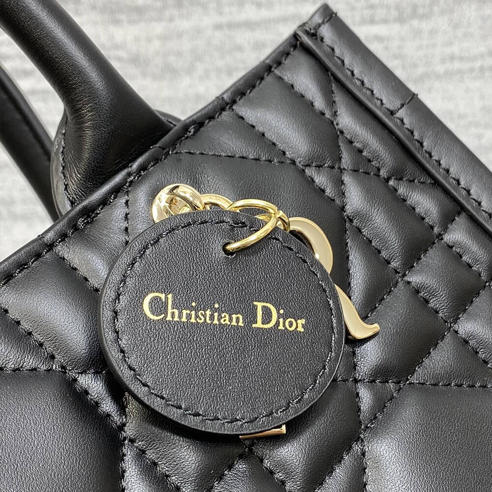 Small D10r Book Tote(HIGH-END GRADE)