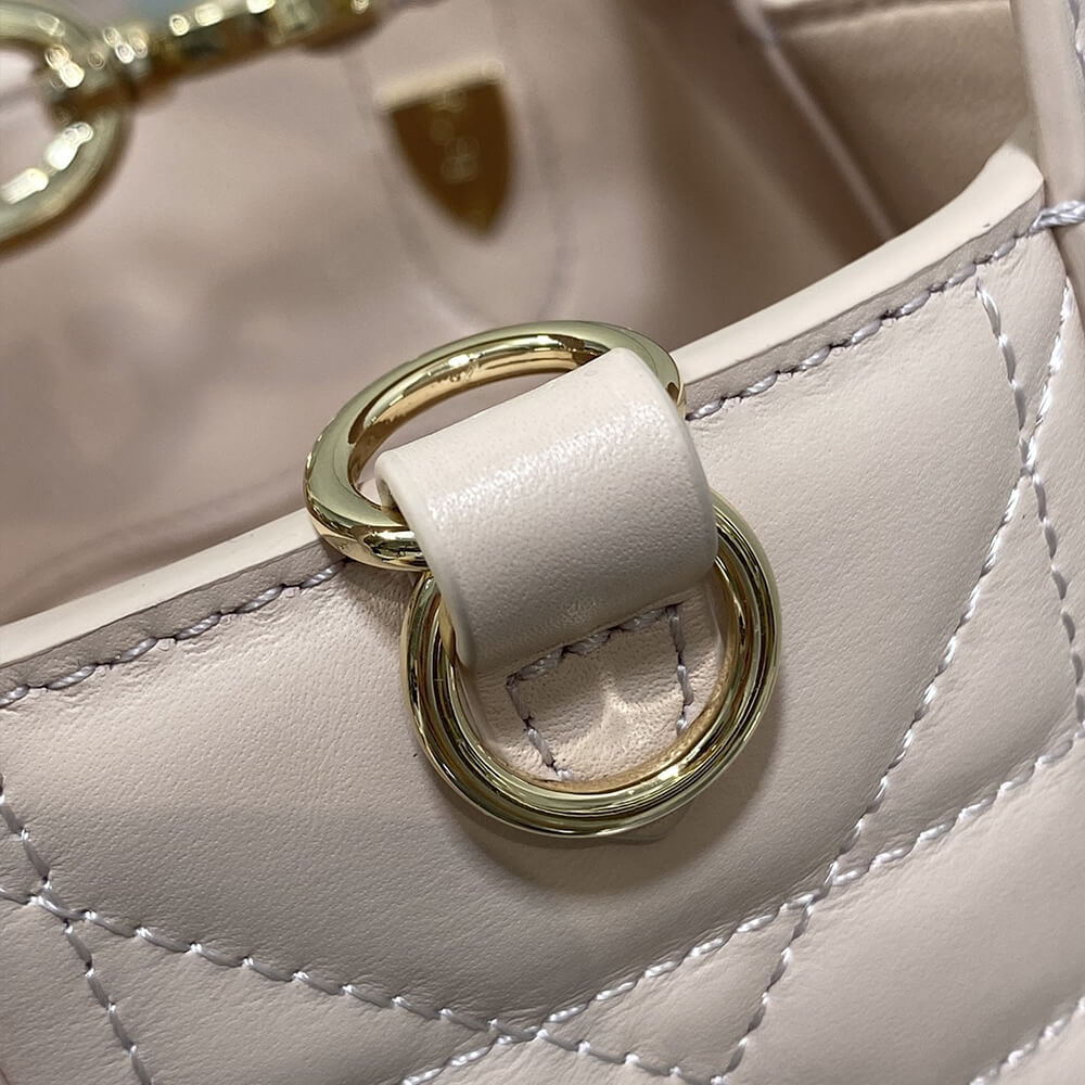 D10r Toujours Vertical Nano Tote Bag(high-end grade)