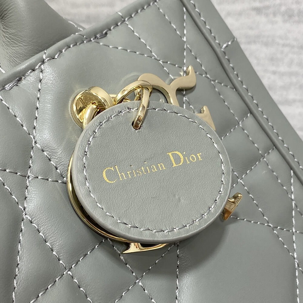 Small D10r Book Tote(HIGH-END GRADE)