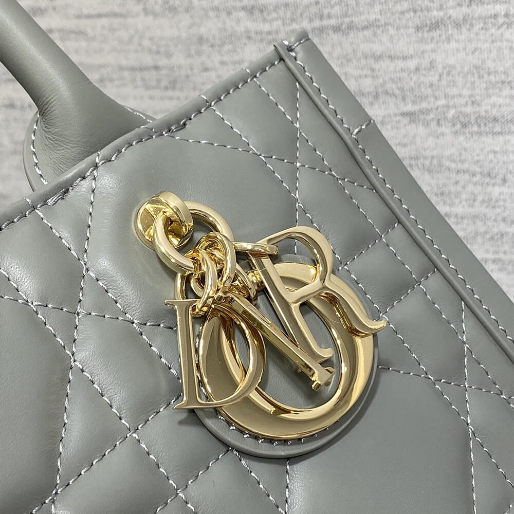Small D10r Book Tote(HIGH-END GRADE)