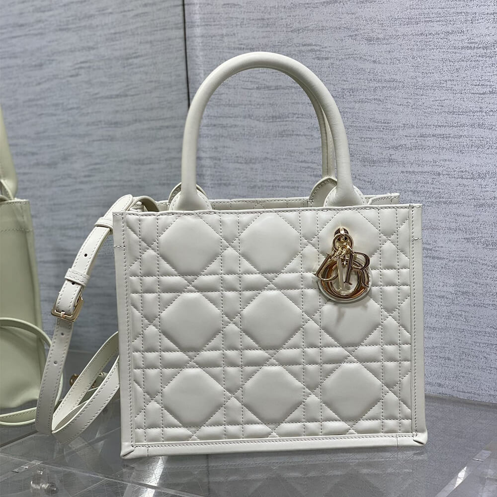 Small D10r Book Tote(HIGH-END GRADE)