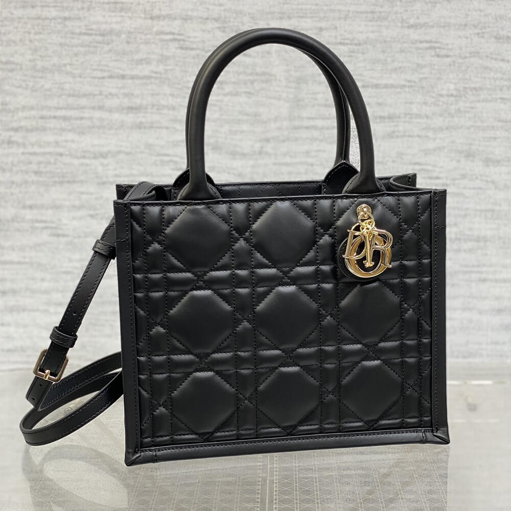 Small D10r Book Tote(HIGH-END GRADE)