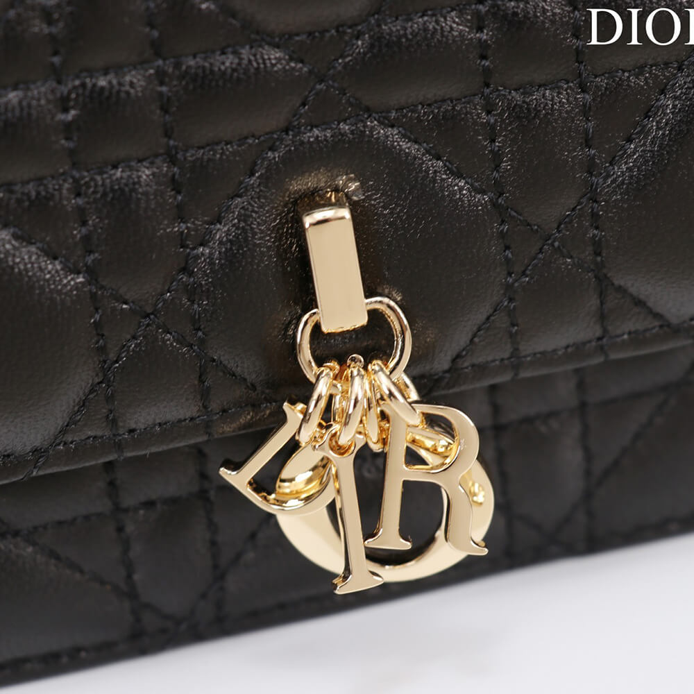 My D10r Mini Bag(High-end Grade)