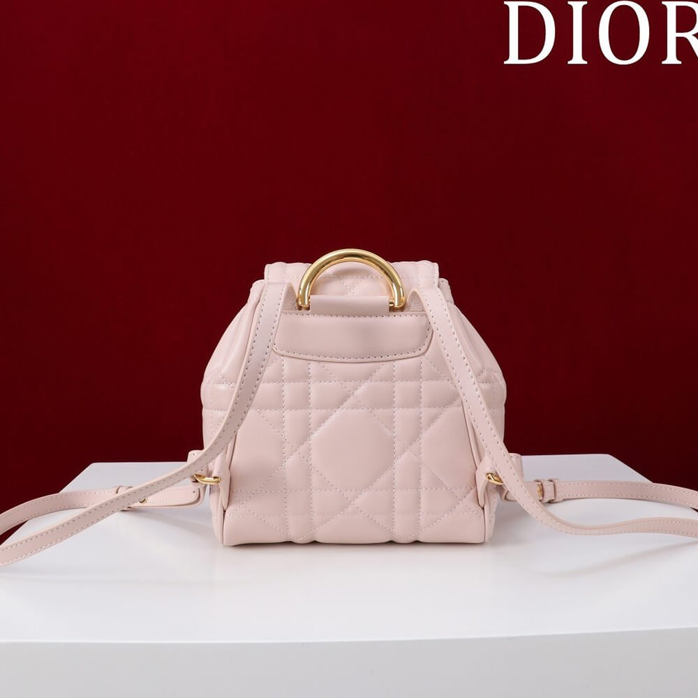 Small D10r Caro Backpack(HIGH-END GRADE)