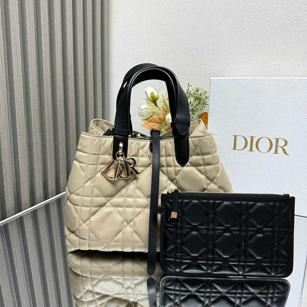 Medium D10r Toujours Bag(HIGH-END GRADE)