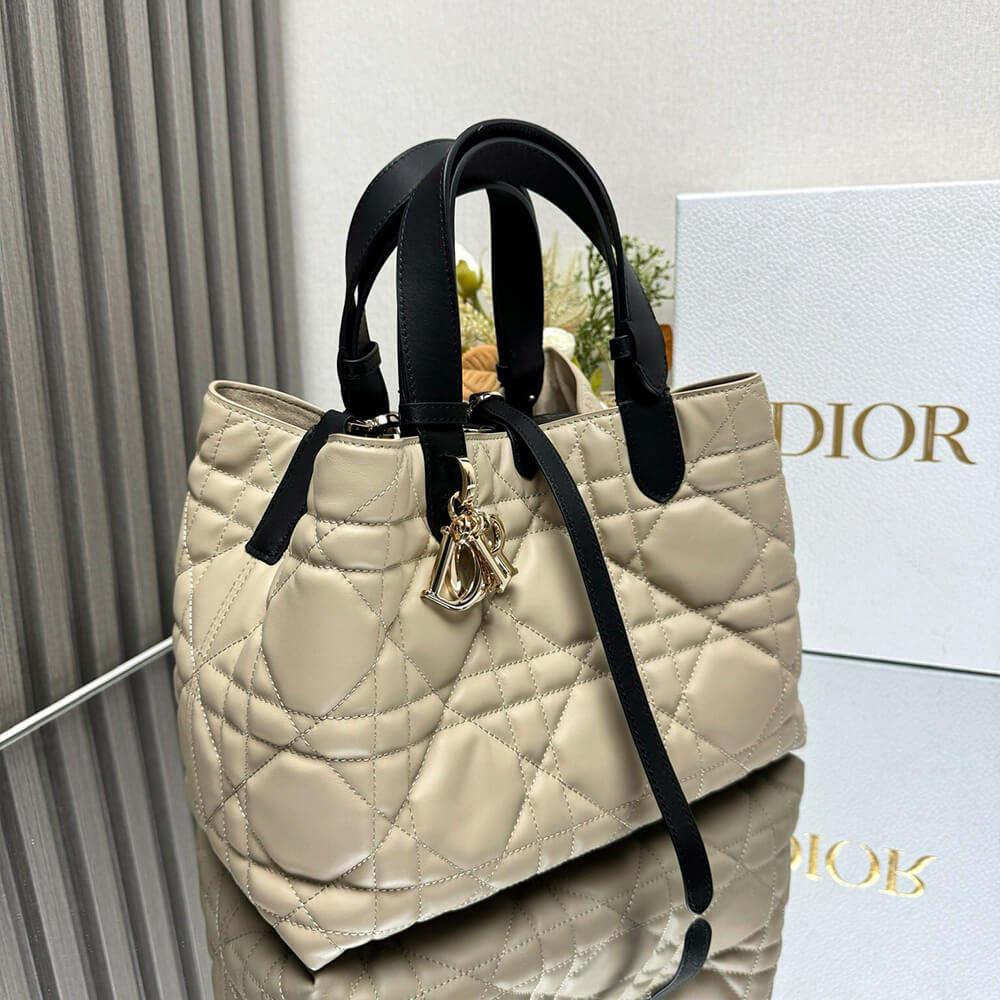 Medium D10r Toujours Bag(HIGH-END GRADE)