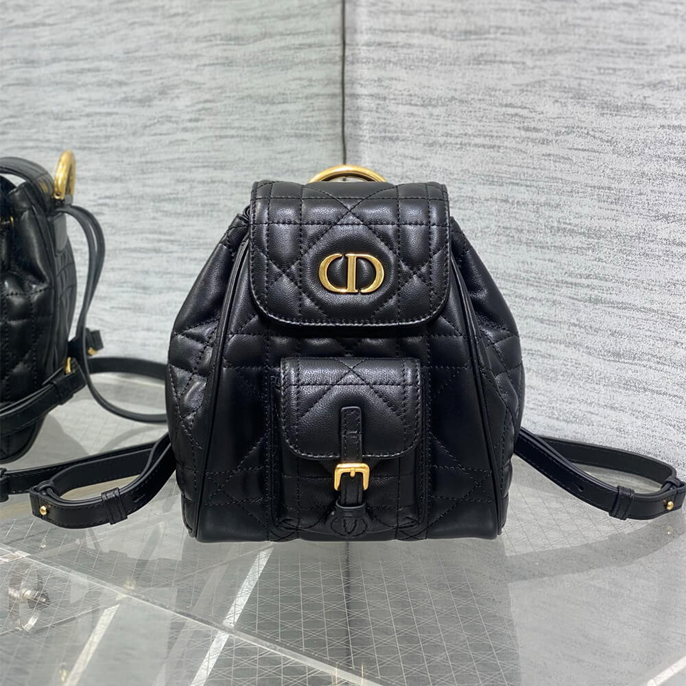 Small D10r Caro Backpack(HIGH-END GRADE)