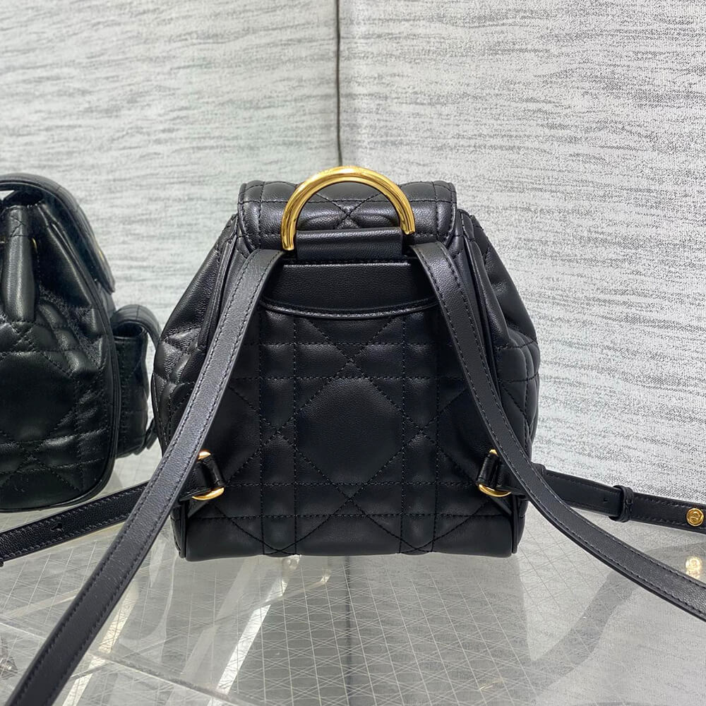 Small D10r Caro Backpack(HIGH-END GRADE)