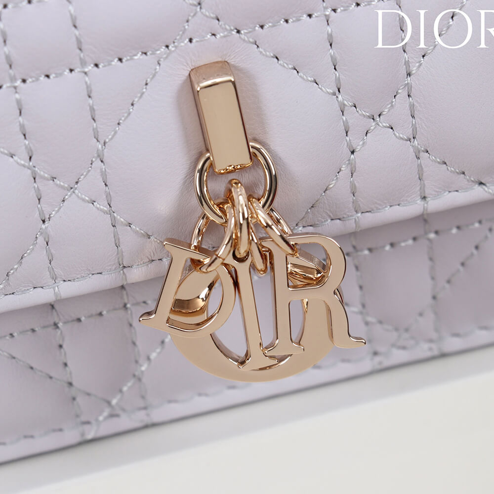 My D10r Mini Bag(High-end Grade)