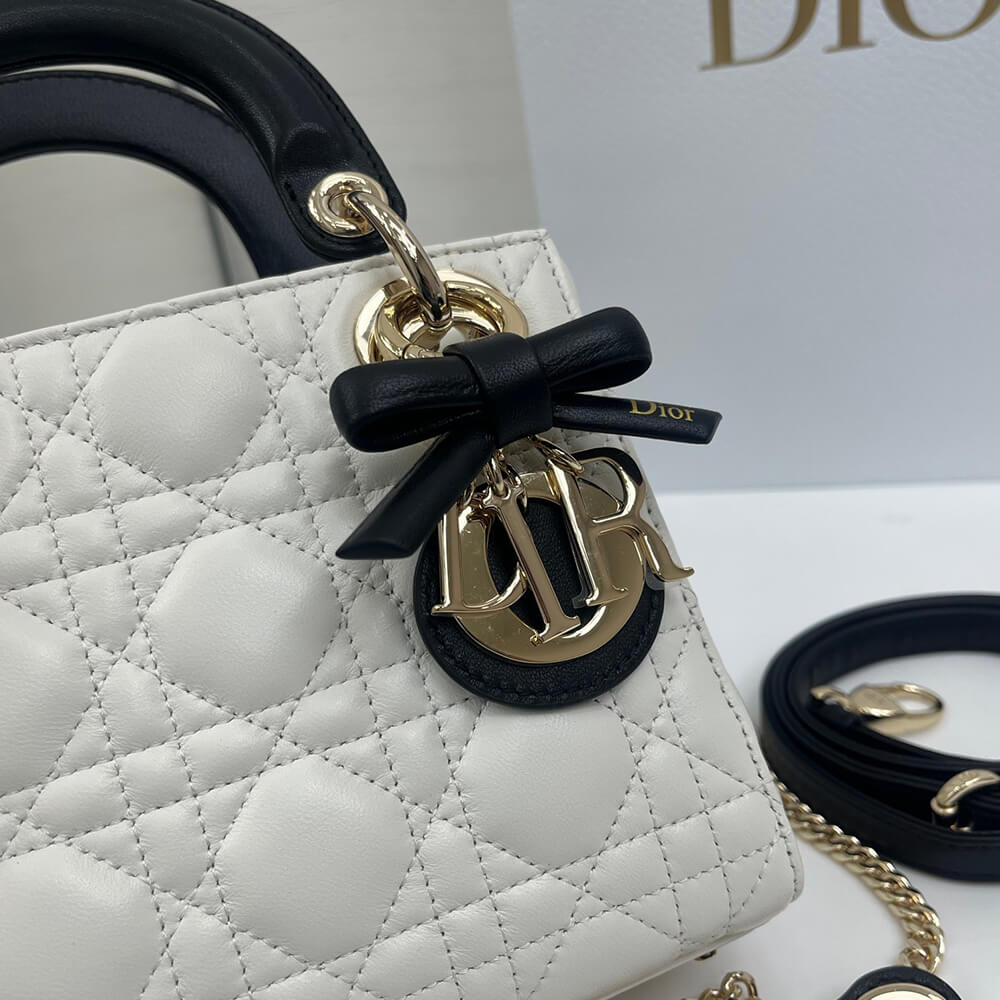 MINI LADY D10r BAG(HIGH-END GRADE)