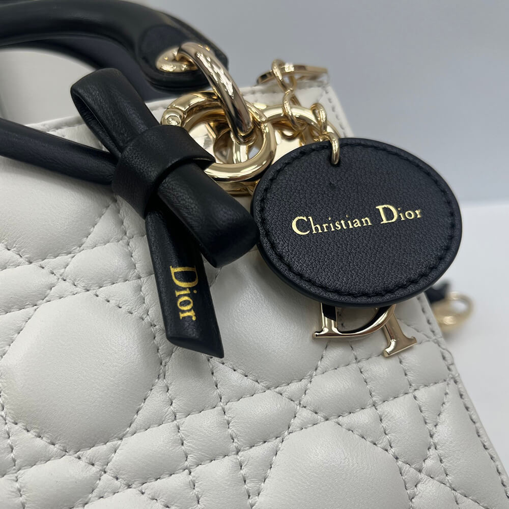 MINI LADY D10r BAG(HIGH-END GRADE)